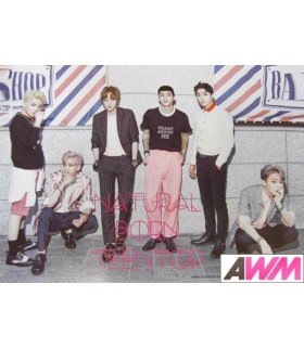 Affiche officielle Teen Top - Natural Born TEEN TOP (Poster version Passion)