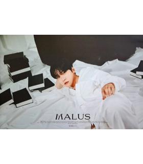 [Poster officiel] ONEUS - MALUS / KEONHEE