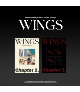 BXB - CHAPTER 2. WINGS