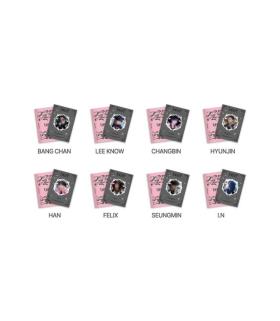 Stray Kids - 'DO IT' POP-UP STORE : MINI STICKER BOOK