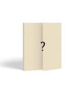 &TEAM - We on Fire (LIMITED EDITION)